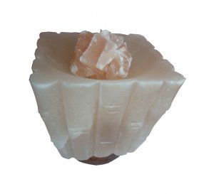 Solna lučka s kamni