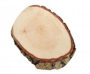 Deska okrogla s skorjo 20 - 25 cm Daska okrugla sa korom